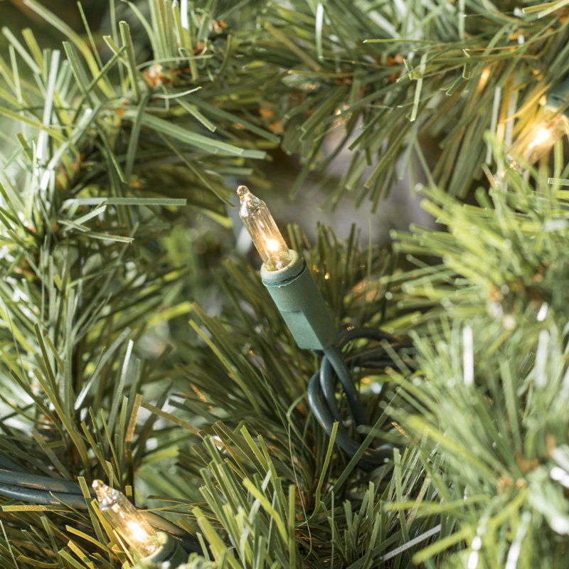 606'' String Lights, Clear