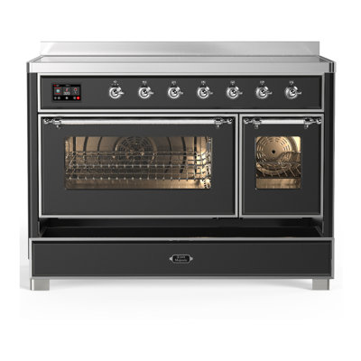 Majestic III Series 48 Inch Induction Range with 6 Induction Elements in Matte Graphite (Brass Trim)