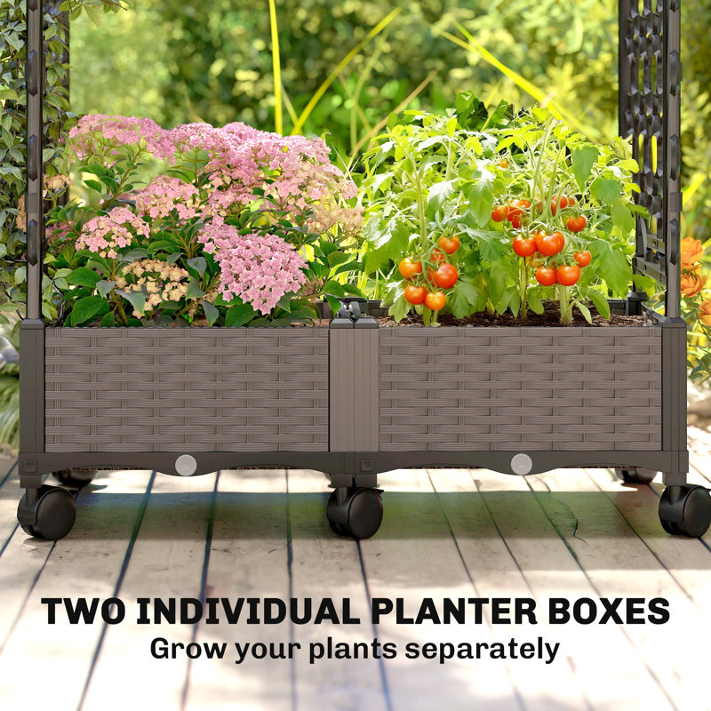 Raised Garden Bed