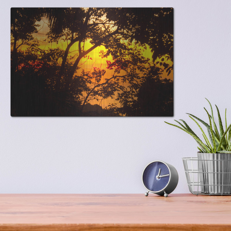 Art mural en métal Lark Manor ™ «Deep Forest Sunset» par Mark Ashkenazi, H 12 po x l 16 po