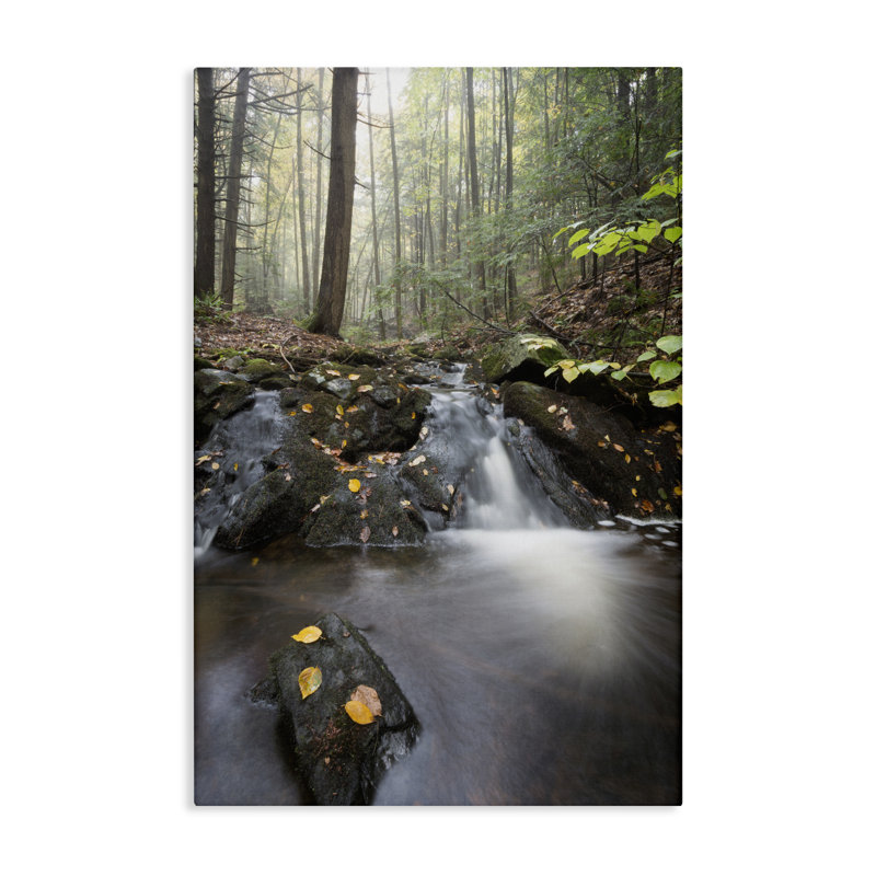 Misty Stream Adirondacks, conception de James Rodewald, H 45 po x l 30 po