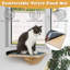 Ventouses pour chat Ceili