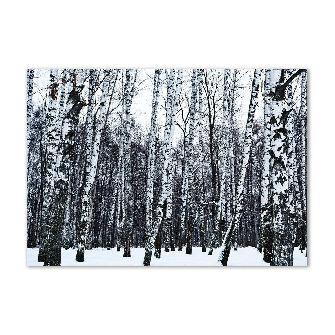 Winterbirken - Kunstdrucke auf Leinwand - Wrapped Canvas