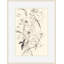 Japanese Anemones 1 Print-1324819180