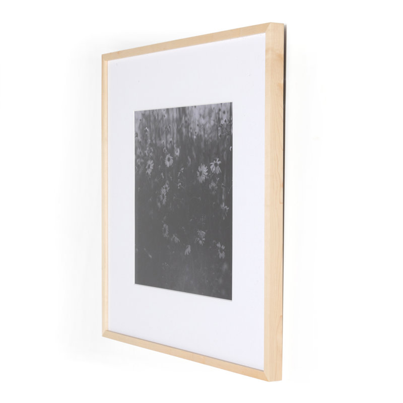 Floral Film II Print by Annie Spratt, 32" H x 32" W x 1.5" D