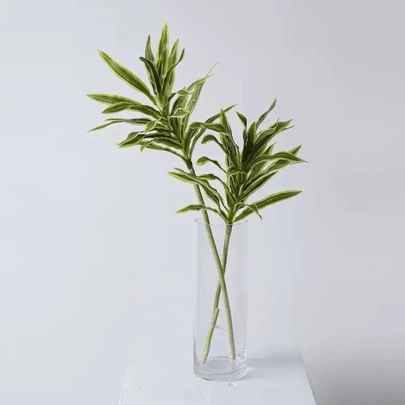 Tige de Dracaena panachée - 31,5 po, [D] 12 Stems
