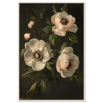 «White Pivoines in Dark I», toile rétro par Botanicals 