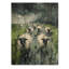 Stormy Pasture Of Sheep II - Impression sur bois de mouton - sur bois de pin naturel-540614447