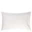 Astor Pillow Case-25726500-25726504