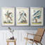 «Pastel Birds IV», reproduction encadrée de qualité supérieure - prête à être accrochée-69983525-69983527
