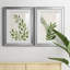 «Botanical Wash I», ensemble de 2 reproductions d'art sur toiles-455244318-455244313-455244319