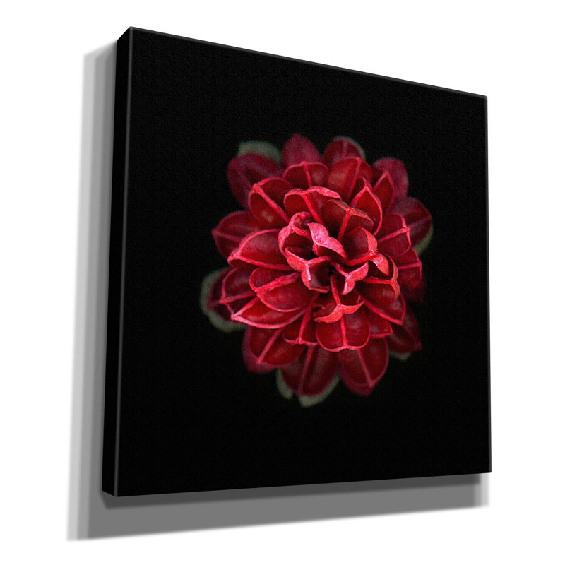 «In Red» par PhotoINC Studio, H 26 po x l 26 po x P 1,5 po