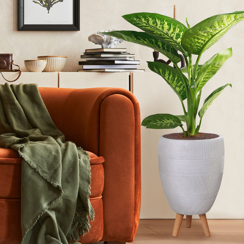 Multi-Directional Striped Egg Planter with Feet, White, 52cm H x 35.5cm W x 35.5cm D