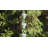 Alldredge Metal Rain Chain-29115197