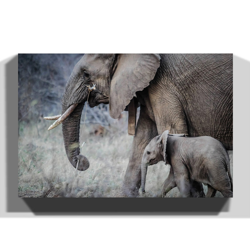 Wrapped Canvas Print, 70cm H x 100cm W