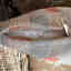 Customer photo 2 of 4
