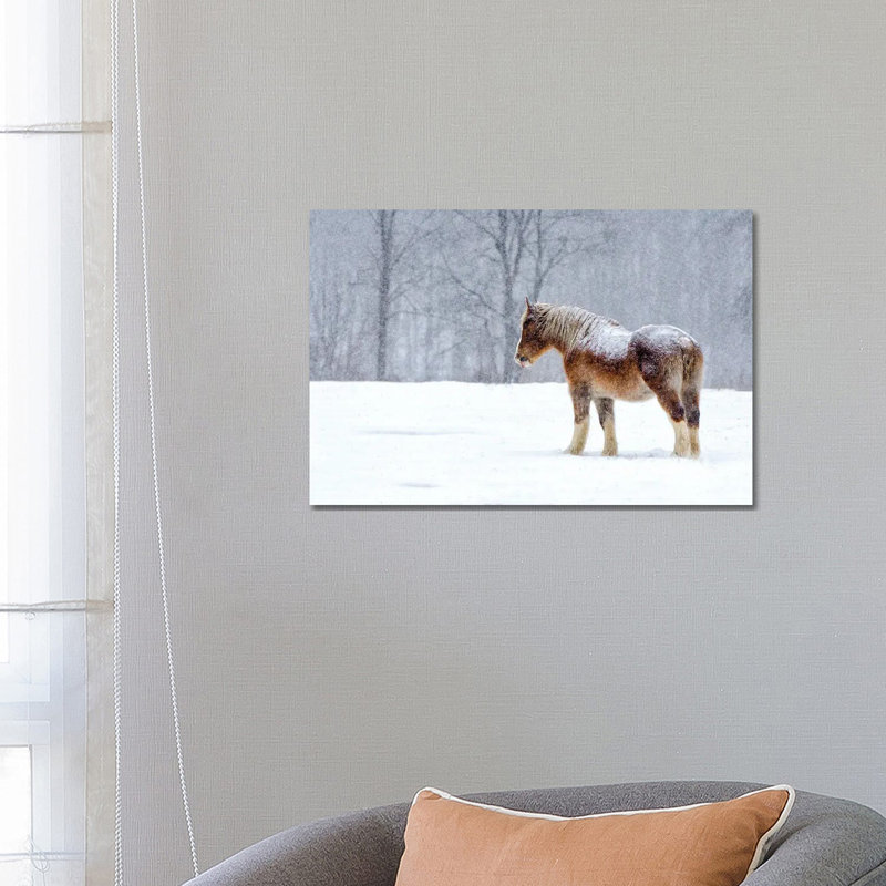Stoic by David Gardiner - Wrapped Canvas Print, Wrapped Canvas, 66.04 cm H x 45.72 cm W x 3.175 cm D