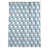 Carolina Football Silver/Blue/White