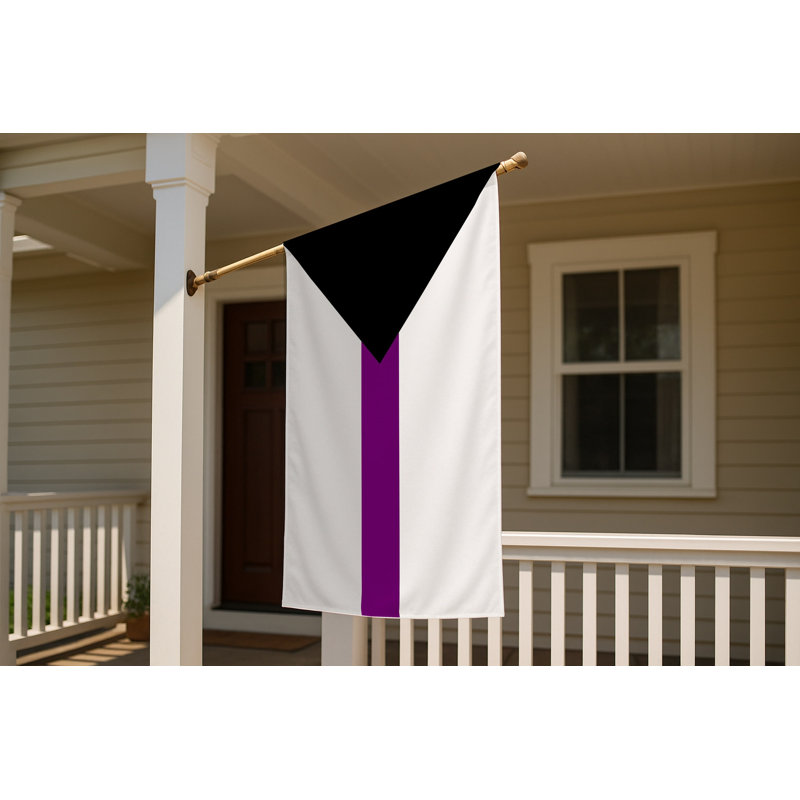 Drapeau Demisexual Pride - drapeau extérieur, 24" H x 36" W