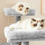 Clem 115cm H Cat Tree-1871425597