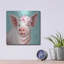  «Floral Pig» par Elizabeth Tyndall, art mural en métal, 12 po x 12 po-763872570