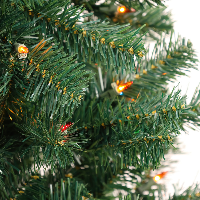 6ft. Acacia Tree with Multicolor Lights