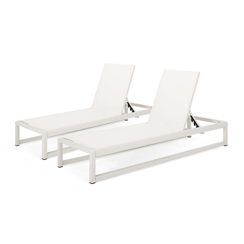 Roberson Outdoor Metal Chaise Lounge Set, White