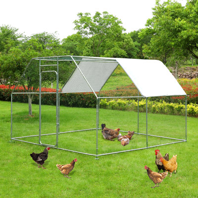 Adriell Walk In Chicken Run