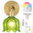 2-in-1 Wireless or Hardwired Wall Sconce with Remote, Vintage Brass & Green Floral Glass Shade Wall Light. Battery Operated Rechargeable RGB LED Adjustable Bedside Lamp with Timer & Dimmable Bulb