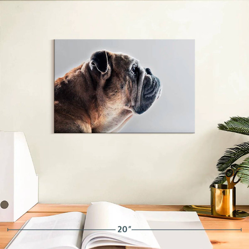Brampt Dog Side Profile, 8" H x 12" W