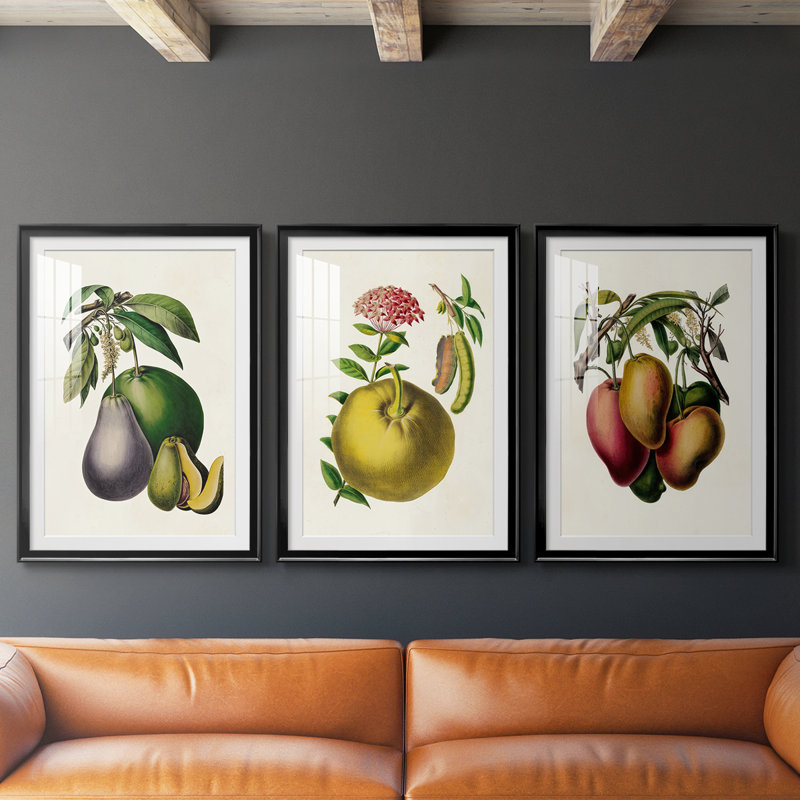 Fruit of the Tropics IV - reproduction sur mesure encadrée de qualité supérieure - 3 pièces, H 15 po x l 19 po, Noir