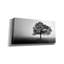 «Epic Graffiti» «Tree In Mist» par Photoinc Studio, art mural sur toile-101271168