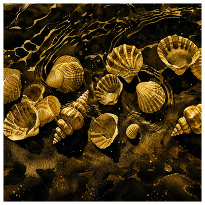 Édredon Golden Seashells Illustration