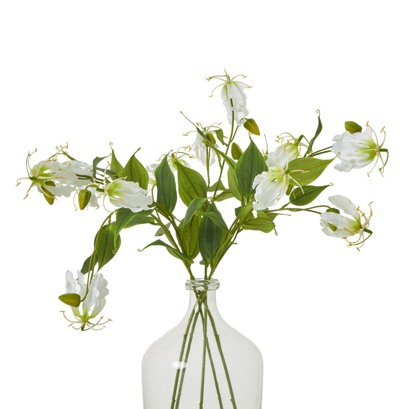 Anastasija Arrangement