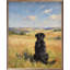 Sunny Day Lab-349195497