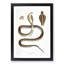 Cobra Capella Snake Illustration by John Edward Gray - Picture Frame Painting-57864581-57864580