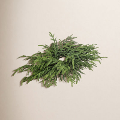 Lindzie 24" Pine Wreath