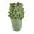 Green is out of stock