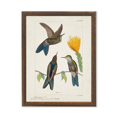Colibris autour d'une fleur jaune dans un cadre perlé bronze