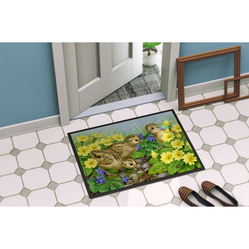 Tapis de porte pour l’extérieur antidérapant de poussins faisan, Rectangle 2 pi x 3 pi