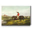 Reproduction d’art sur toile « the English Hunt VIII »-1254872112