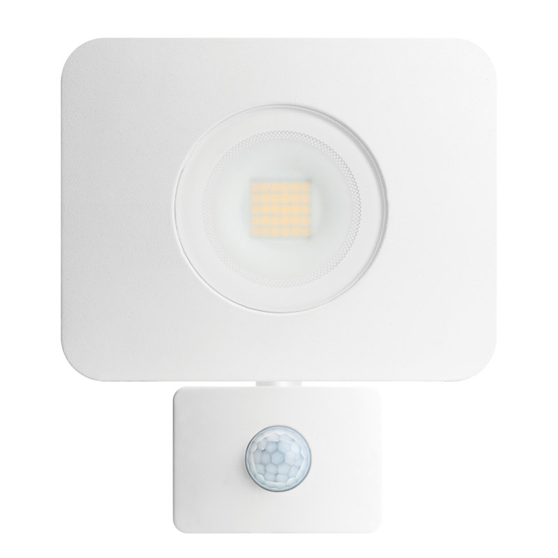 Ostler 1-Light LED Flood Light