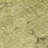 Nayelin Washable Oriental Indoor / Outdoor Rug-178425090