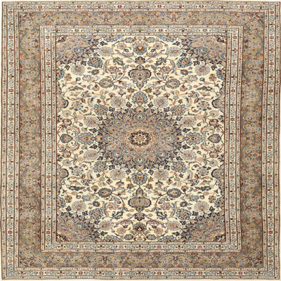 Oriental Indoor Rug