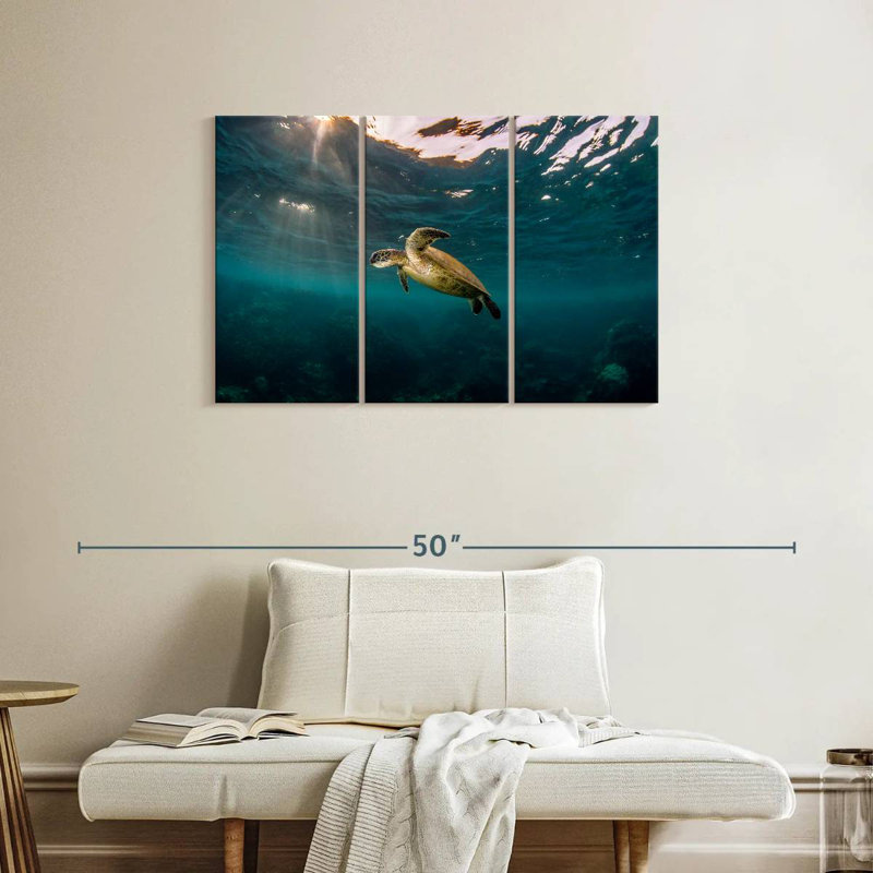 Ningaloo Reef Sea Turtle, 24" H x 38" W