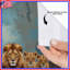 Rideaux de douche Lion-1191590390