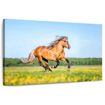 Palomino Horse
