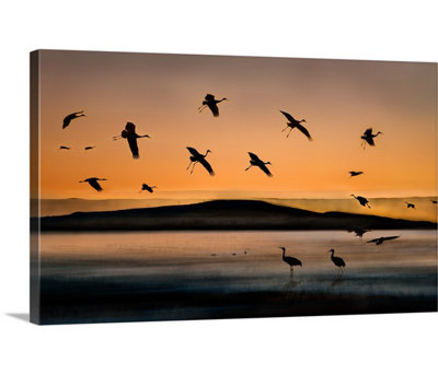 «Fly In at Sunset» par Shenshen Dou, Straub, reproduction de photo