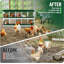 Boîtes de nidification pour poulets, boîte de ponte en acier galvanisé antirouille avec système de collecte des œufs-1852286074
