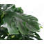 150cm Faux Plant in Pot Liner